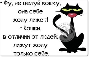 Йожика картинки. Выпуск 238