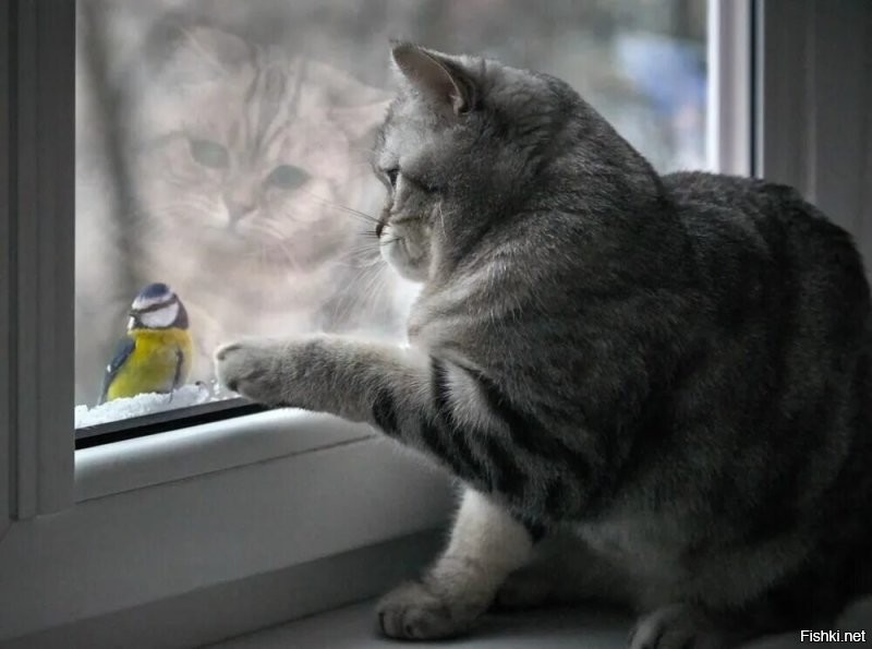 Солянка от 12.11.2022