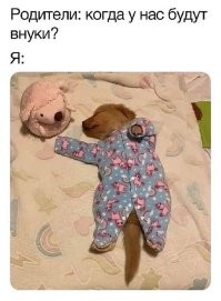 Родила царица в ночь
Не то сына, не то дочь ...
