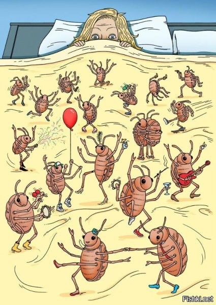 Солянка от 12.11.2022