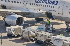 Во всех самолётах с шириной как Airbus-320 и шире, можно использовать контейнеры (хотя не все авиакомпании/аэропорты это делают).

У "региональных" как Superjet-100 или Bombardier-C100 (Airbus-220) и уже   только "в навал", но там и шанса помять меньше. 

Самый широкий фюзеляж, куда не влезают контейнеры, у Boeing-737 (см. 2-е фото).
