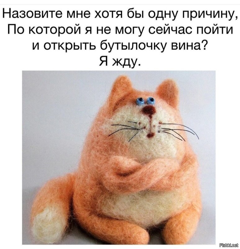 Солянка от 12.11.2022