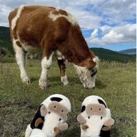 С добрым утром!