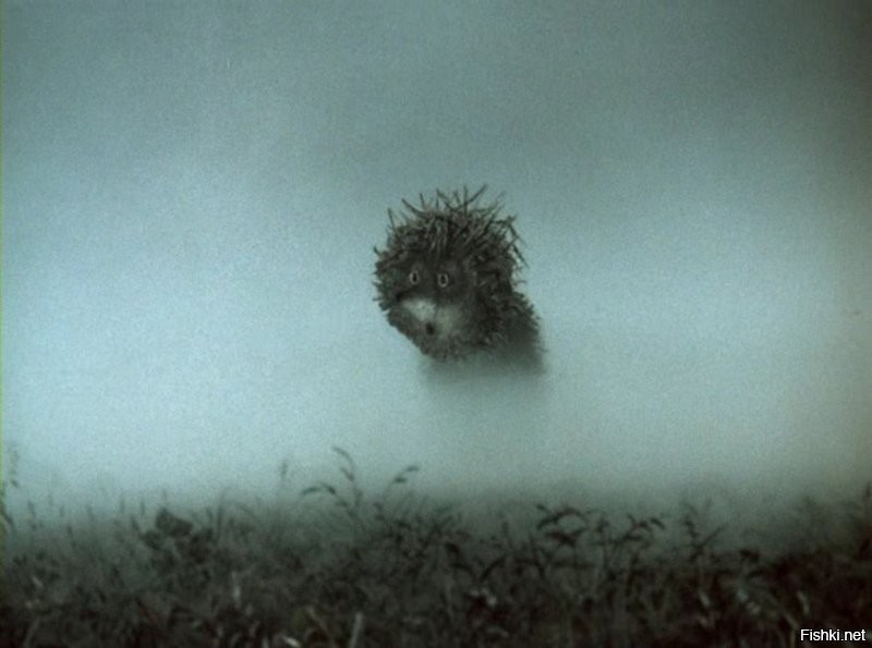 Солянка от 12.11.2022