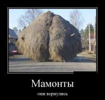 А вот них@ра: