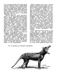 Фото, знакомое с детских лет. Шеститомник «Жизнь животных», засмотренный-зачитанный до дыр))