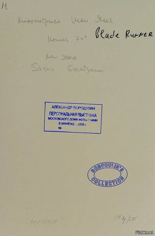 Солянка от 12.11.2022