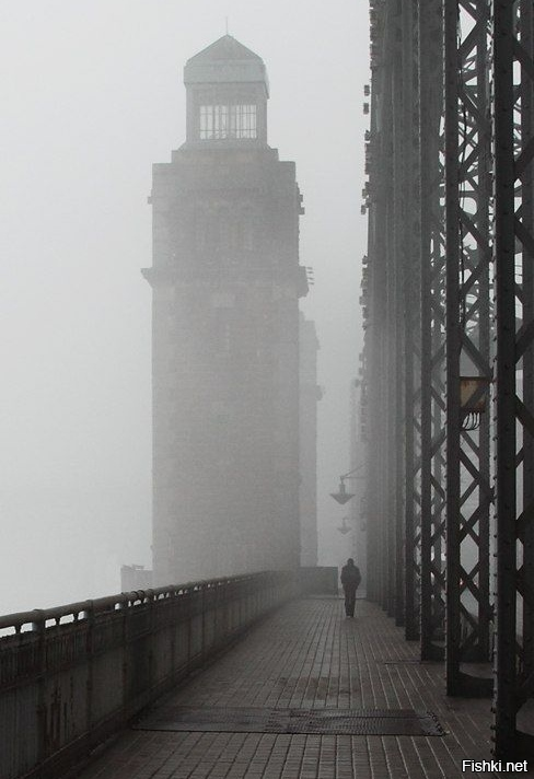 Большеохтинский мост (мост Петра Великого)