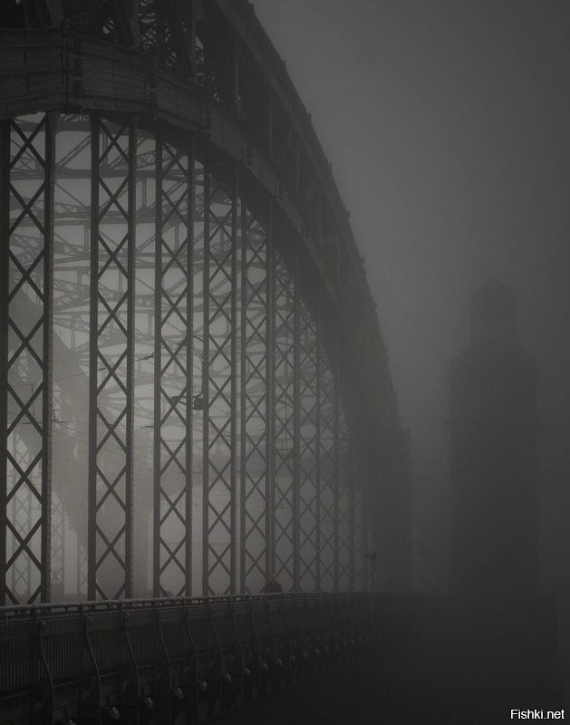 Большеохтинский мост (мост Петра Великого)