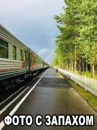 "Я заснял!": 20+ интересных снимков, которыми поделись пользователи сети