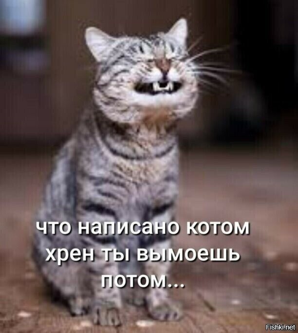 А ни чо, давай закрепим...