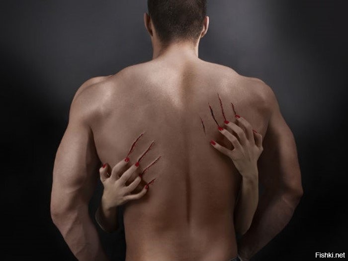 Солянка от 12.11.2022