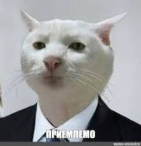 Йожика картинки. Выпуск 238