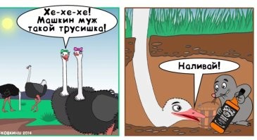 Йожика картинки. Выпуск 238