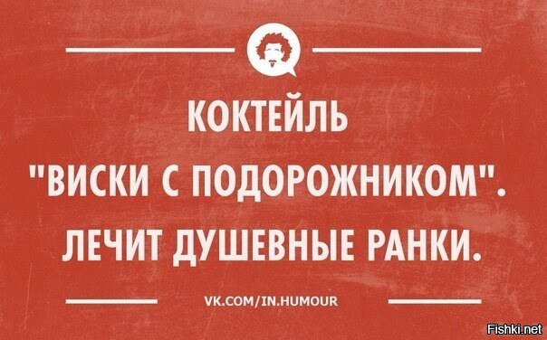 Солянка от 12.11.2022