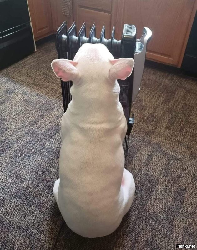 какая глупость))))Это моё самое любимое наказание))
Если я выключаю звук,то минимум на неделю.....
Прошибает уже на вторые сутки,но я еще кочевряжусь для верности пару тройку дней