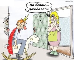 Весёлые картинки