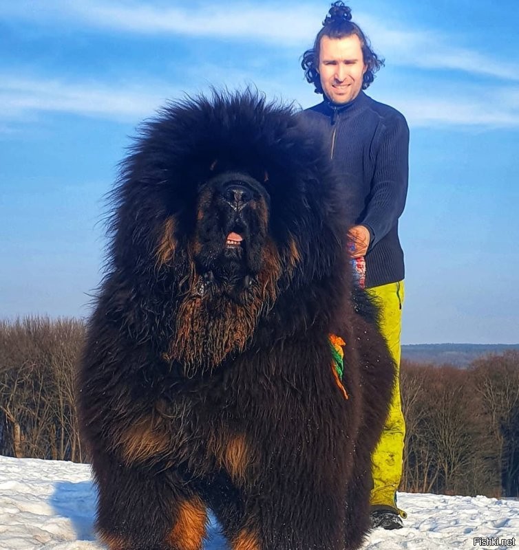 а ты видел эту собаку?
то-то же!