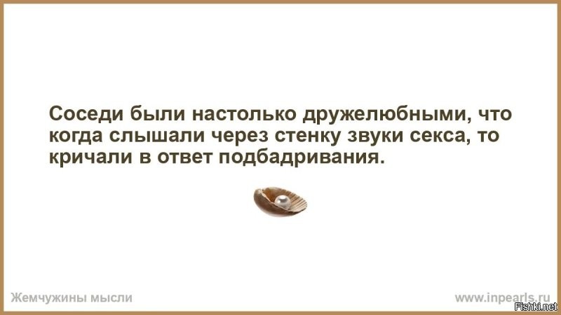 Солянка от 13.11.2022