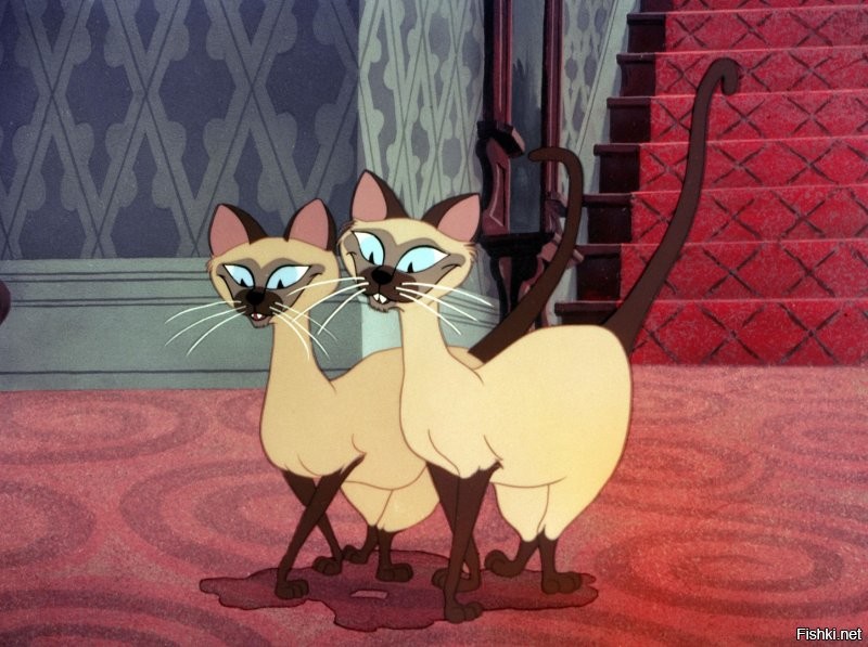 Солянка от 13.11.2022