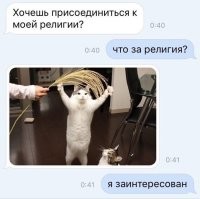 Котоличество же.