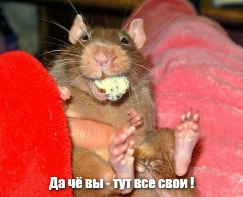 Весёлый, однако, коллективчик подбирается!