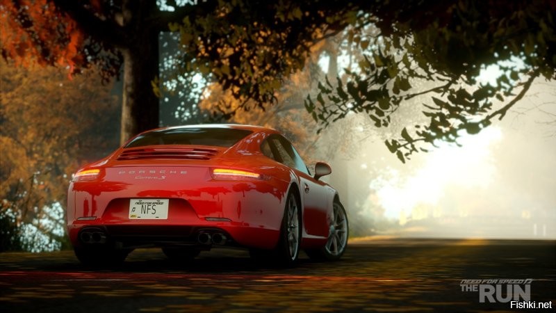 Да я этих Поршей бил-бил, бил-бил...