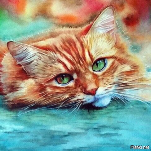 Солянка от 13.11.2022