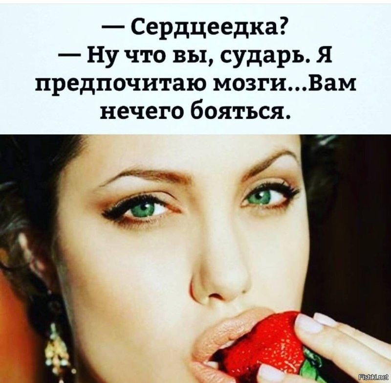 Солянка от 13.11.2022