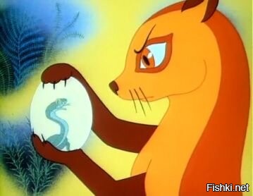 Солянка от 13.11.2022