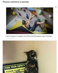 Реклама забавно разделила название с фото.