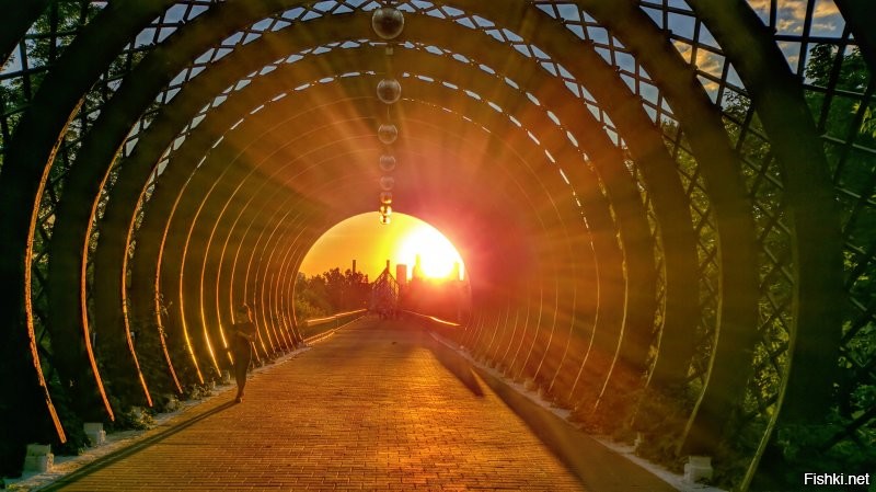 Из моих последних, может кому понравится)