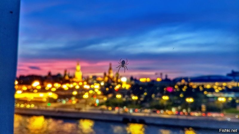 Из моих последних, может кому понравится)