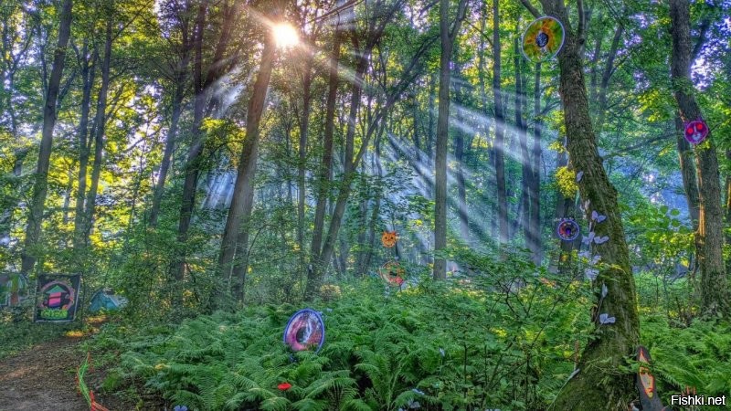 Из моих последних, может кому понравится)