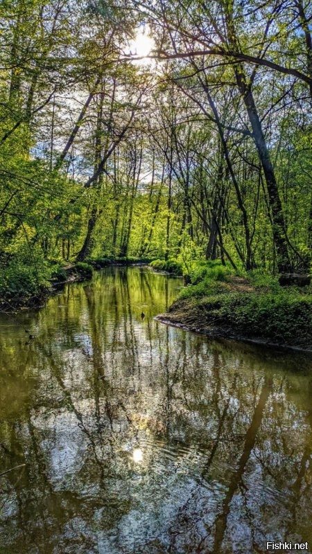 Из моих последних, может кому понравится)