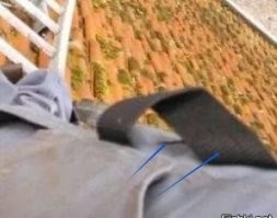Кстати, скорее всего, он с верхней страховкой. 
А лестница просто для упрощения подъёма. 

Похоже на стропы обвязки: