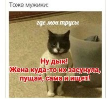 Смешные и познавательные картинки