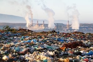 Трындец шарику. Homo, который вовсе не sapiens, исчезнет вместе с средой которую так старательно убивает.