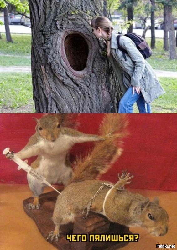 Солянка от 13.11.2022