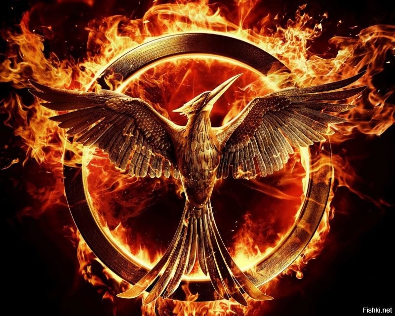 Солянка от 13.11.2022