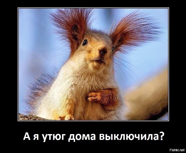 Солянка от 13.11.2022