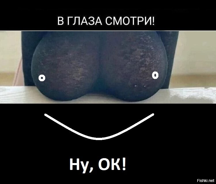 Солянка от 13.11.2022