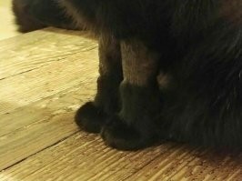 Какие нафиг сапожки?