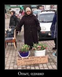 Весёлые картинки