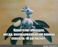 Весёлые картинки