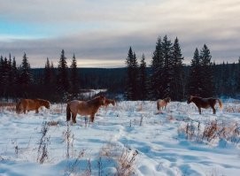 захотелось своих фоток добавить к общей картине...