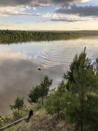 захотелось своих фоток добавить к общей картине...