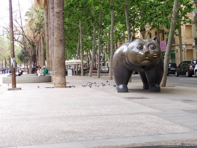 Солянка от 14.11.2022