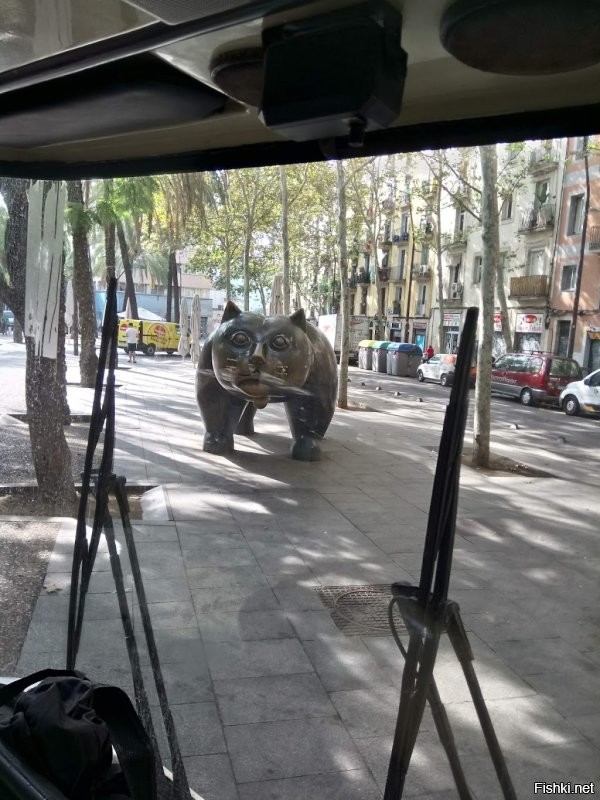 Солянка от 14.11.2022