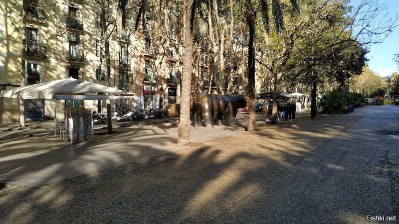 Солянка от 14.11.2022